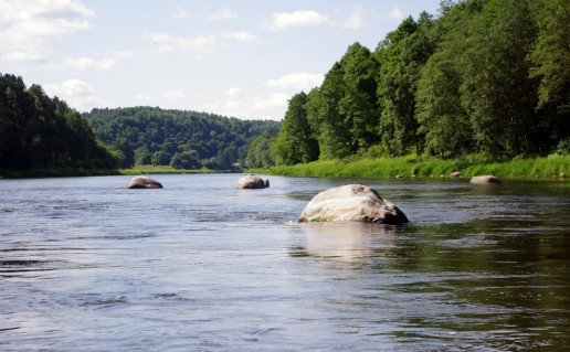 15_Verkšionių Užkeiktų vestuvių akmenys.jpg